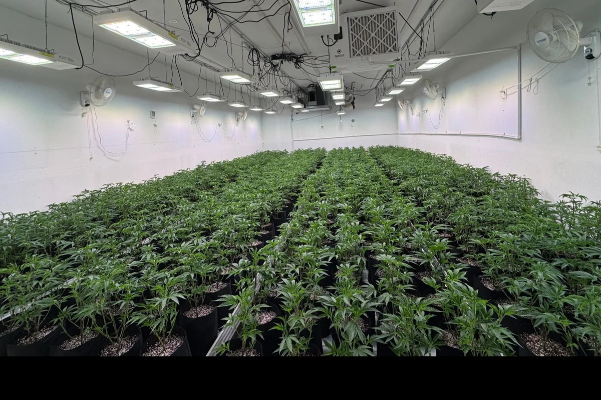 Greenhouse room retrofitted with LED modules replacing legacy fixtures, fans and ducting still in place