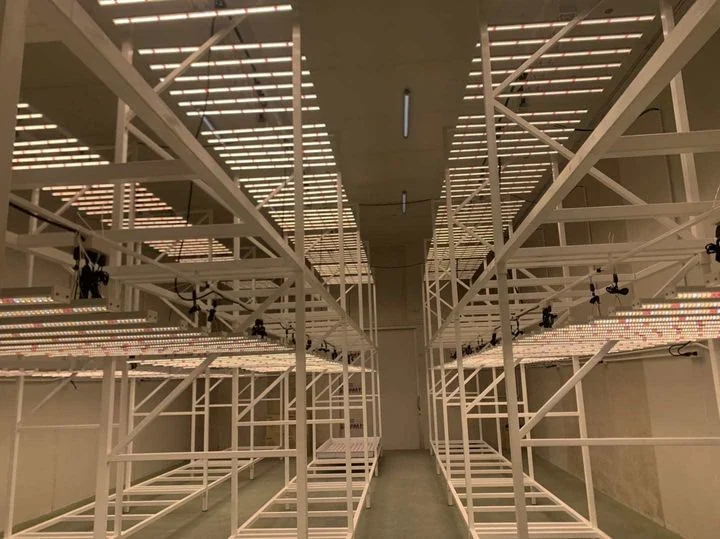 Multi-tier cannabis grow room with LED light bars running across every rack level, showing the block lighting load one room places on the meter